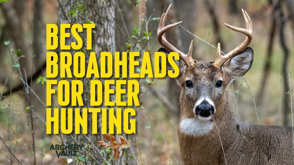 Best Broadheads for Deer Hunting